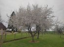 Blanc sur gris